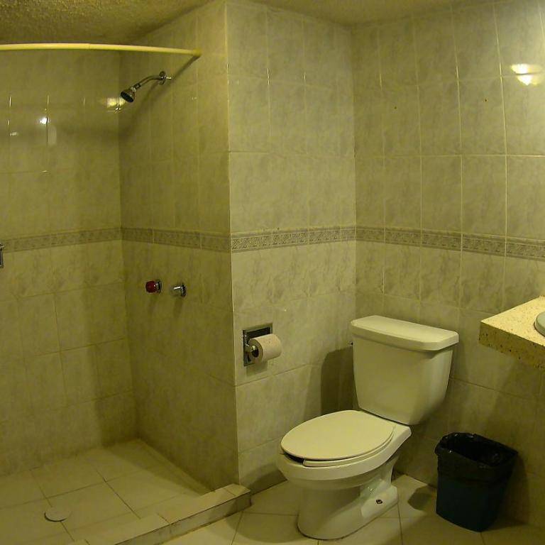 Hotel San Antonio Guanajuato - Standard Studio - 5