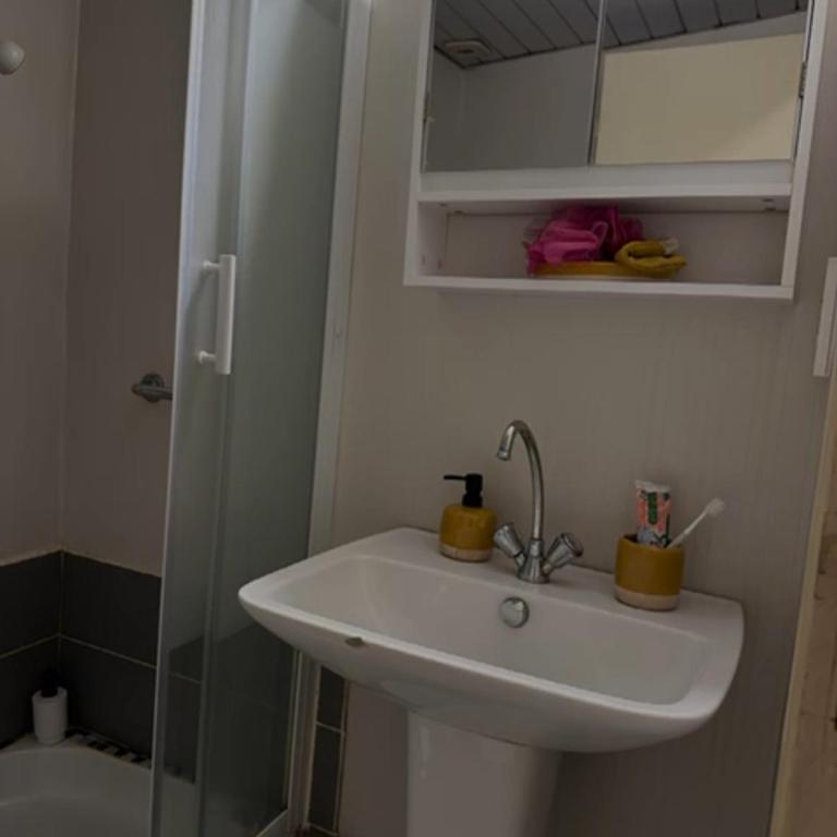 LE SPLENDID - Hypercentre - Proche Opéra & Parcs - Thermes - Appartement 1 Chambre - 78