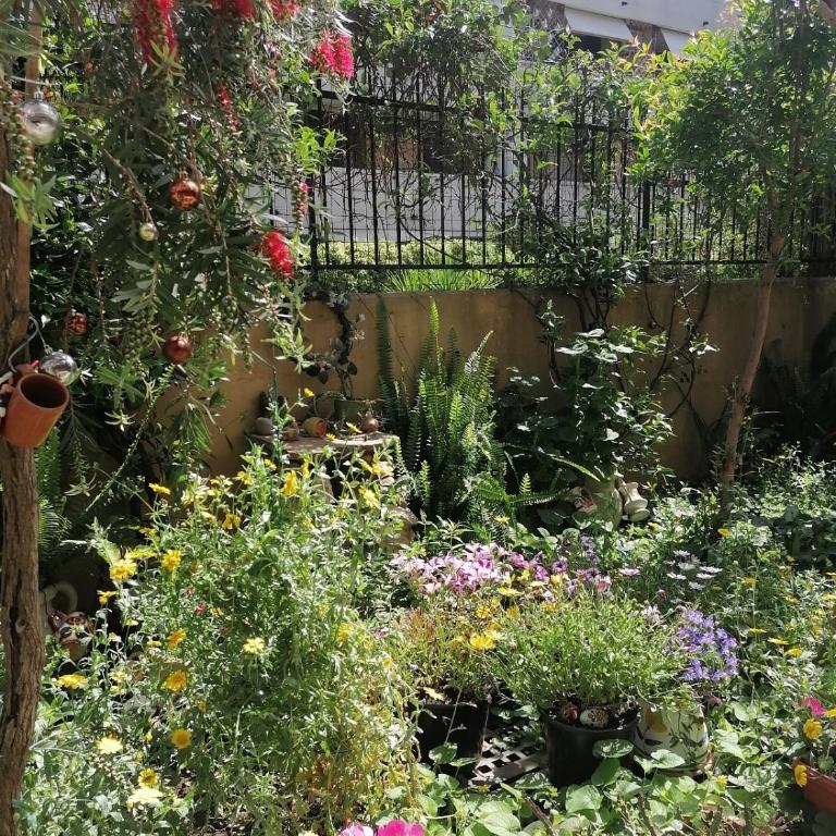 Alloggio Turistico Porta di Roma - Appartement 2 Chambres - 27