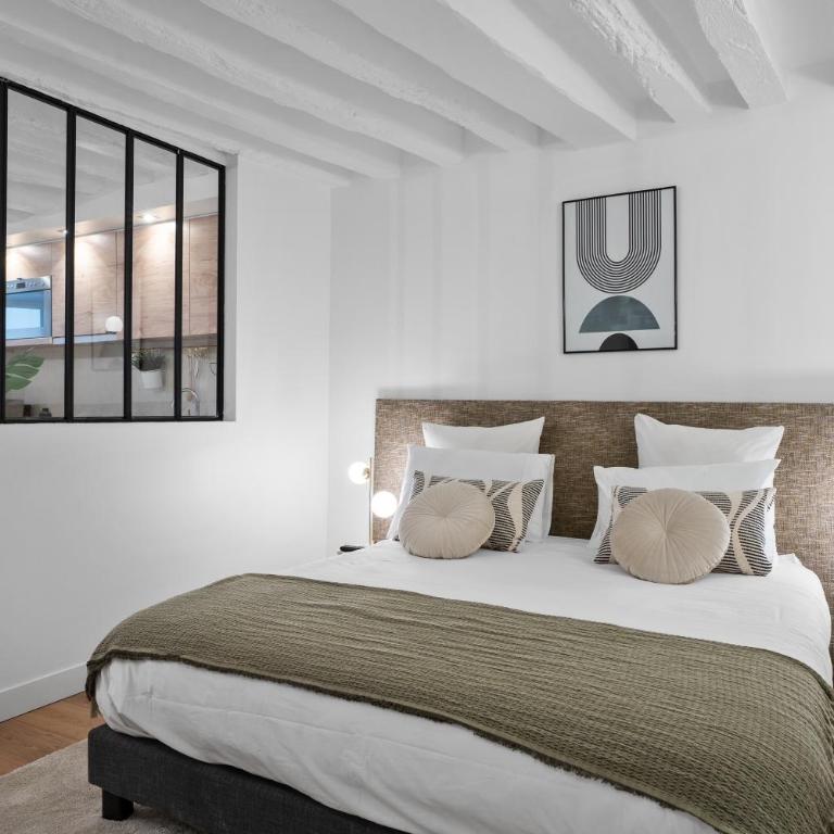 Paris Central Gem 9 Min Walk to Notre-Dame and Louvre - Appartamento Deluxe con 1 Camera da Letto - 10
