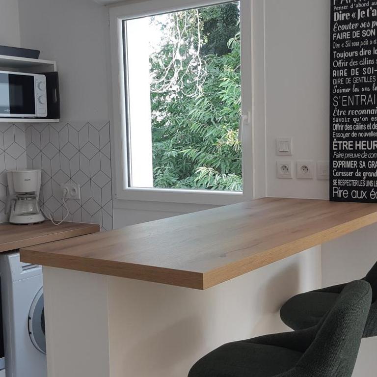 Appartement T2 meublé Vannes proche gare - Appartement 1 Chambre - 12