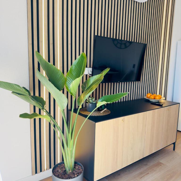 Miraverde Oasis Costa Adeje - Apartamento - 9
