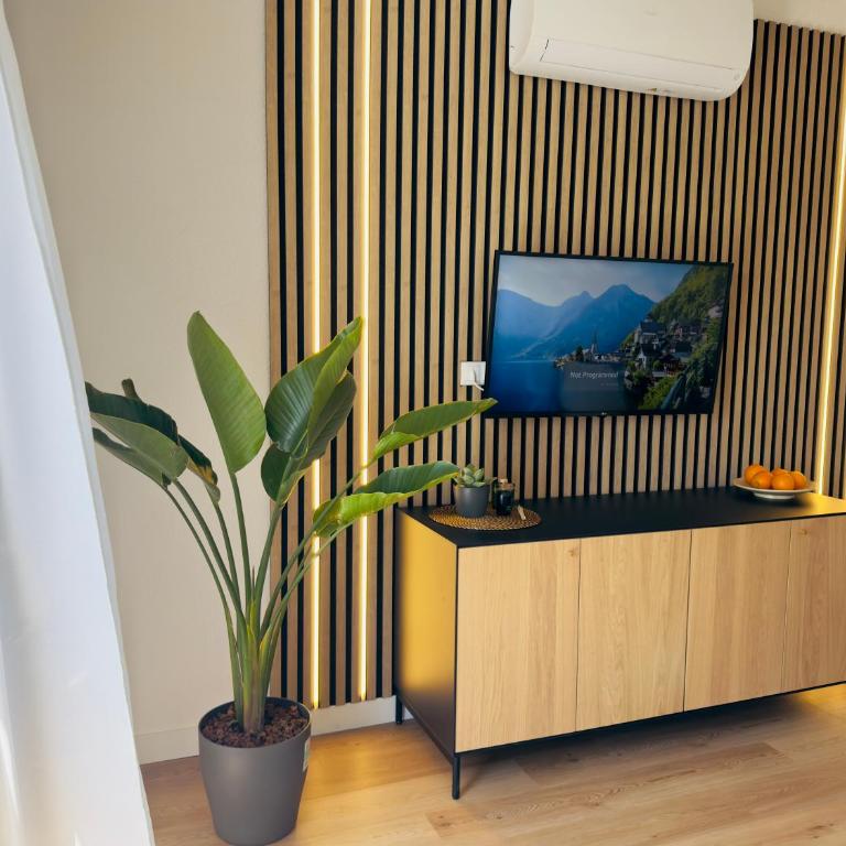 Miraverde Oasis Costa Adeje - Apartamento - 5