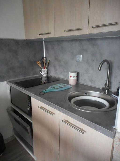 Appartement PuySaintVincent 1600 - Appartement 2 Chambres - 8