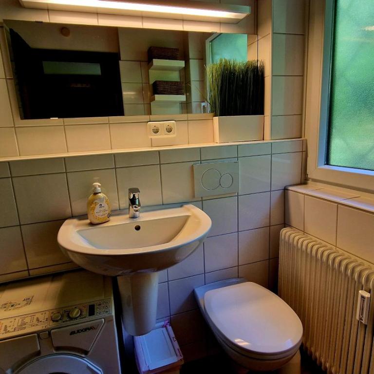 Dachsteinblick - Apartment mit Terrasse - 9