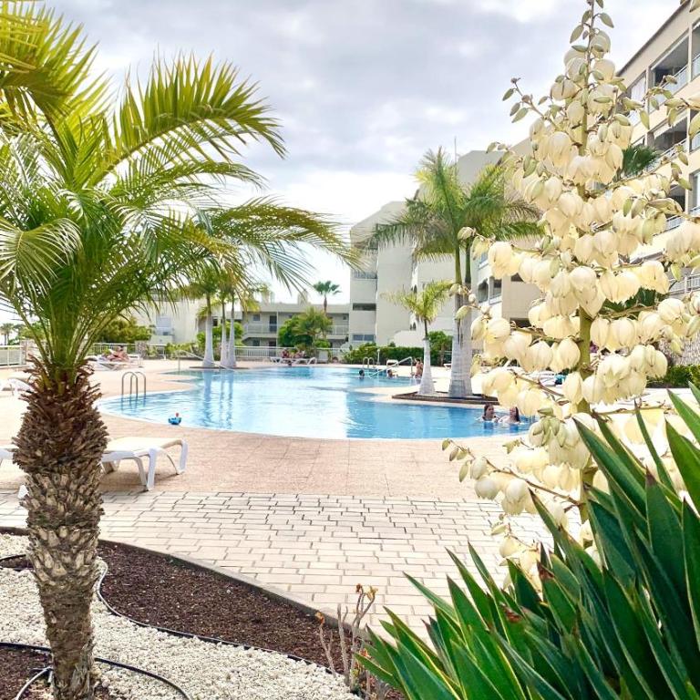 Apartamento Las Palmeritas Palm Mar Tenerife Sur - One-Bedroom Apartment - 1