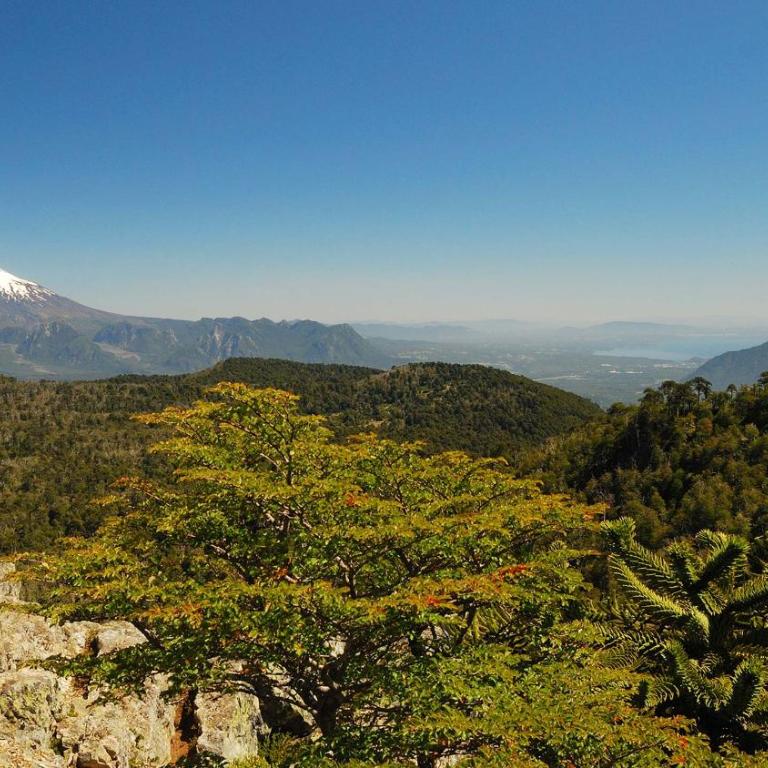 Casa de Campo Buenavista - Casa Unifamiliar de 3 dormitorios - 74