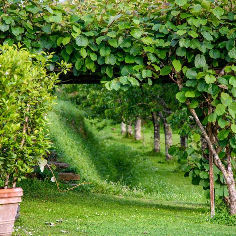Citrus Charm Farmhouse, a Country Villa with Pool - Villa con 3 Camere da Letto - 23