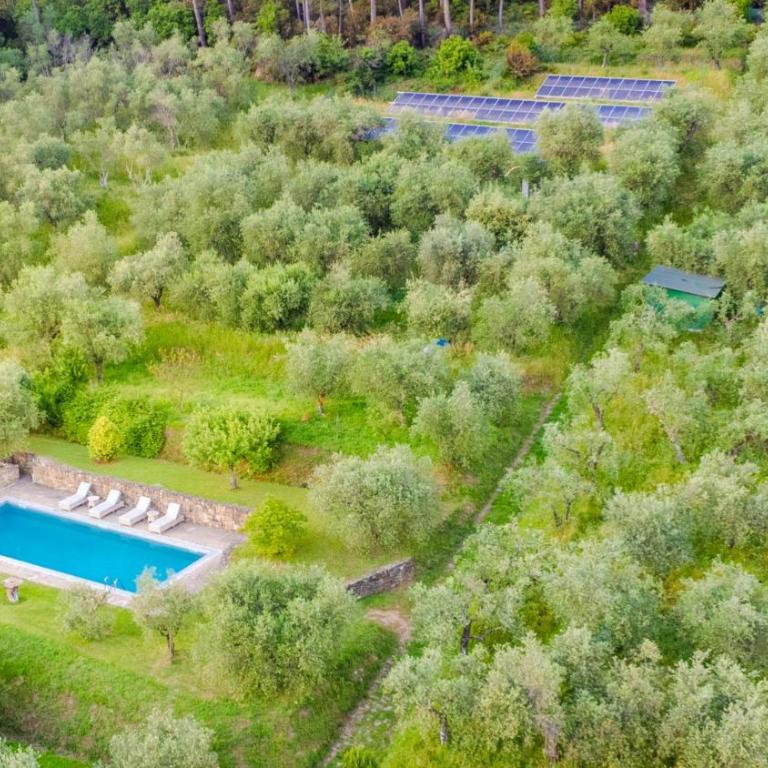 Citrus Charm Farmhouse, a Country Villa with Pool - Villa con 3 Camere da Letto - 68
