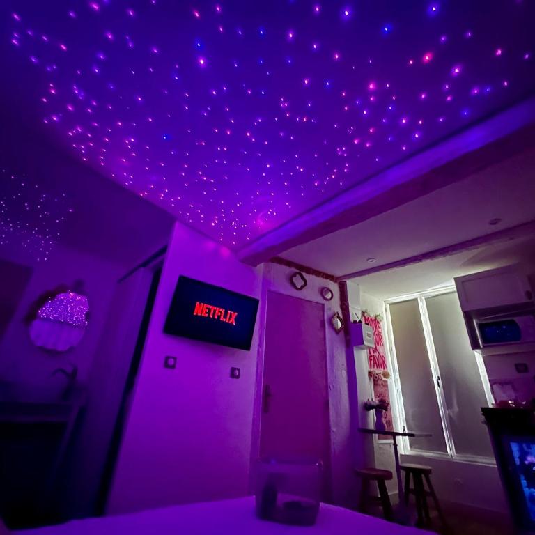 LOVE Room - Balnéo - Ciel Etoilé - Free Wifi - Netflix - Hyper Centre - Appartement 1 Chambre - 3