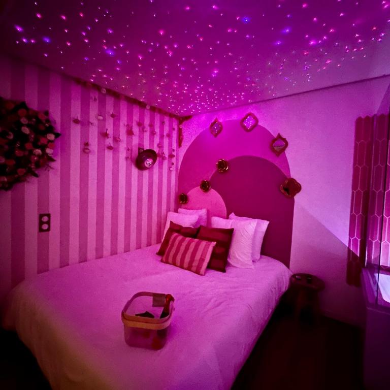 LOVE Room - Balnéo - Ciel Etoilé - Free Wifi - Netflix - Hyper Centre - Appartement 1 Chambre - 17