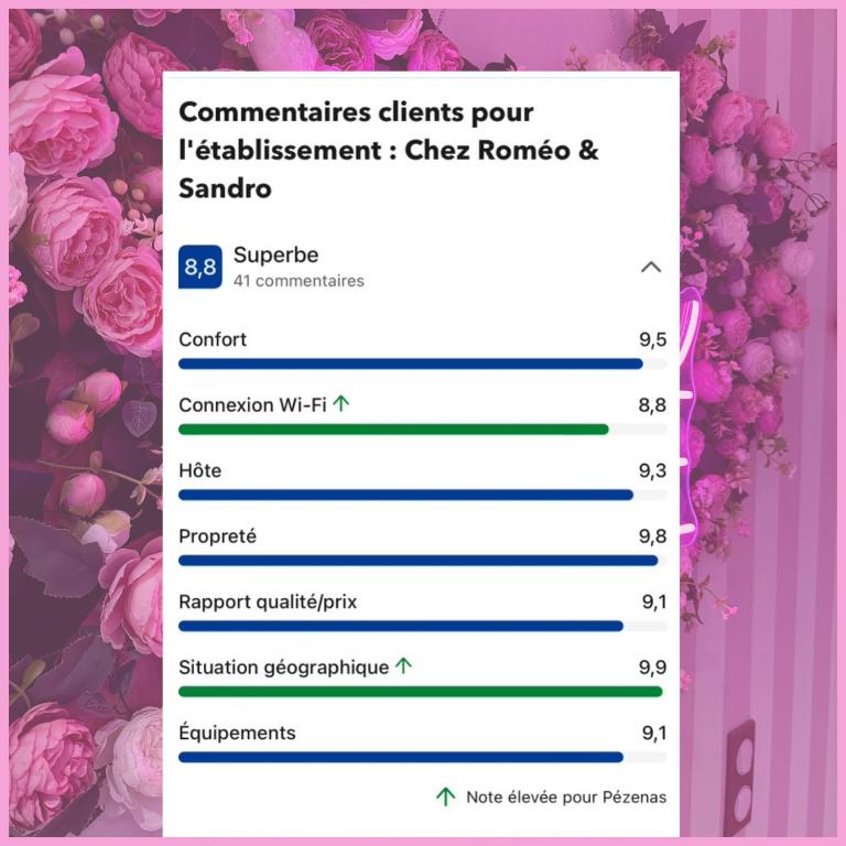 LOVE Room - Balnéo - Ciel Etoilé - Free Wifi - Netflix - Hyper Centre - Appartement 1 Chambre - 11