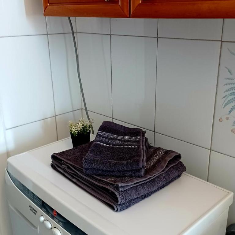 Intero appartamento luminoso e accogliente ! - One-Bedroom Apartment - 19