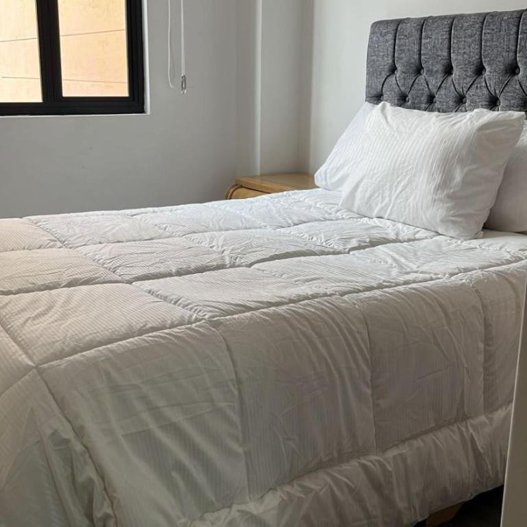 Elite Home Apartamentos - Apartamento de 2 dormitorios - 10