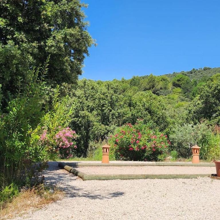 Maison provençale - Maison 1 Chambre - 2