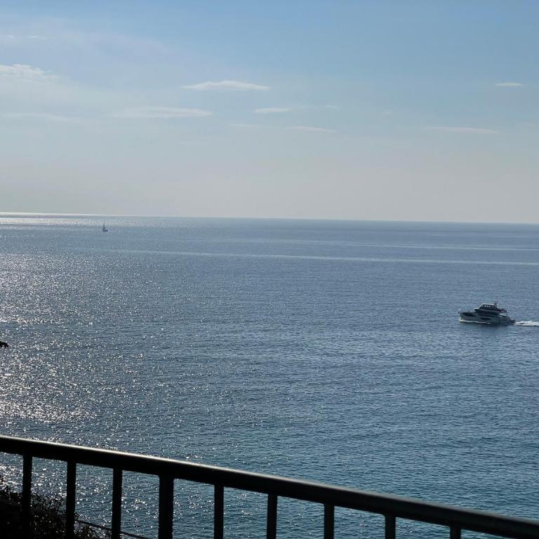 -Terrazza Sul Mare- & Parcheggio Privato - One-Bedroom Apartment - 92