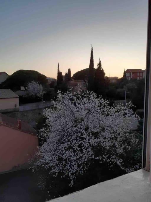 Au bord du ciel Magnifique appartement à Bandol - Appartement 1 Chambre - 28