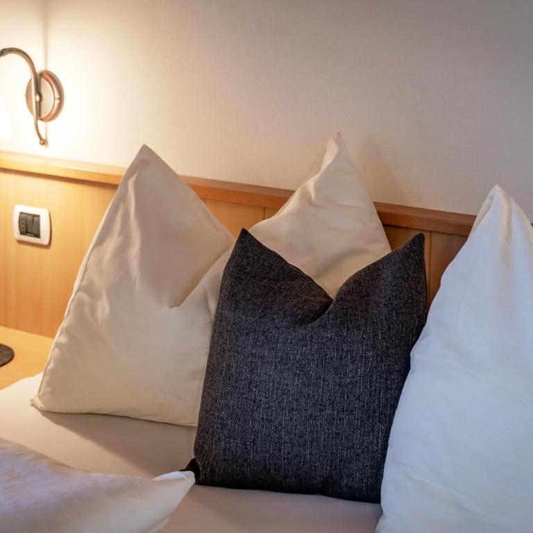 Trinnerhof Hof Chalets and Farm- Panorama Holidays & Brixen Card Bed & Breakfast - Appartamento con 1 Camera da Letto con Vista - 5