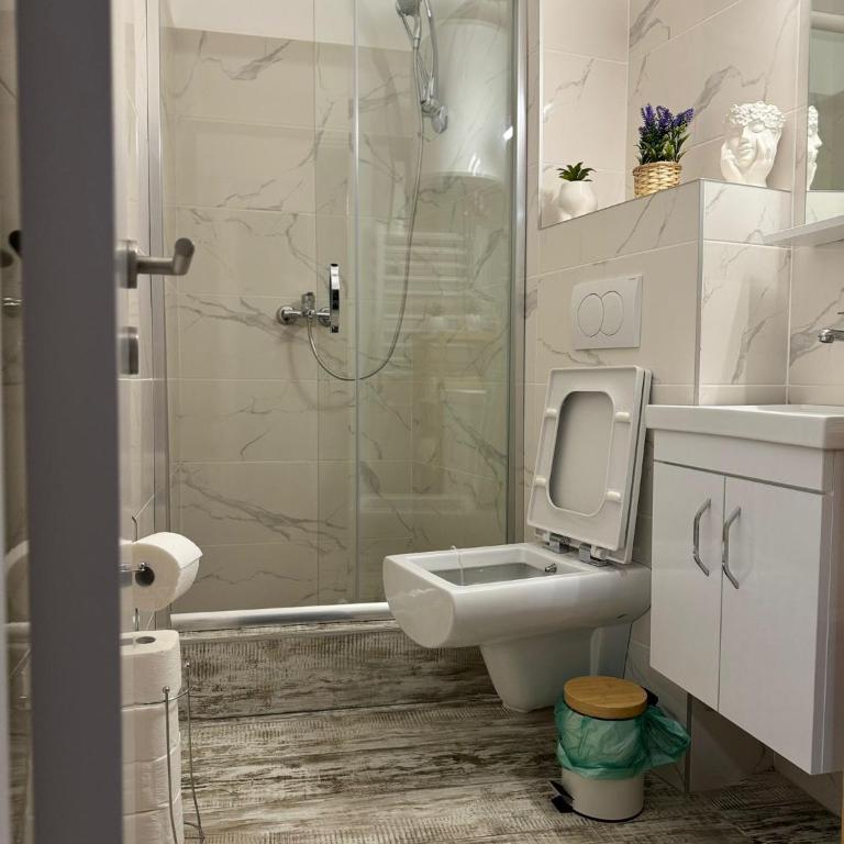Apartman Milanović Divčibare - One-Bedroom Apartment - 5