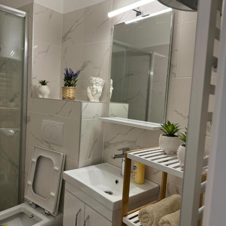Apartman Milanović Divčibare - One-Bedroom Apartment - 15