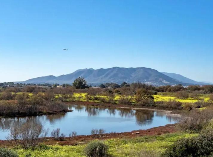 Guadalmar Paraje Natural - Apartamento de 1 dormitorio - 38