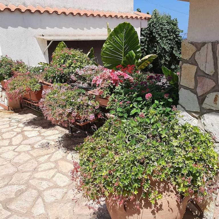Casa Vacanze Anthea Carini - Casa con 2 Camere da Letto - 20