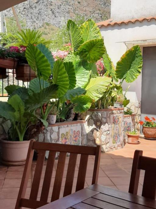 Casa Vacanze Anthea Carini - Casa con 2 Camere da Letto - 21