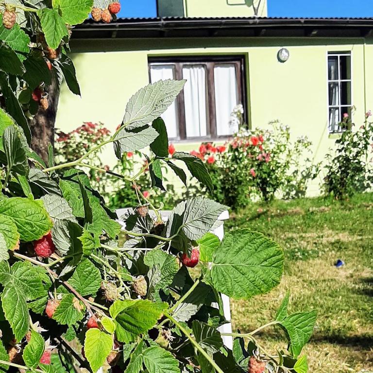 La casa de MARA - Casa de 2 dormitorios - 18