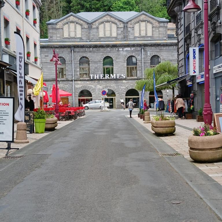Appartement au cœur du Mont-Dore - Apartamento de 1 dormitorio - 10