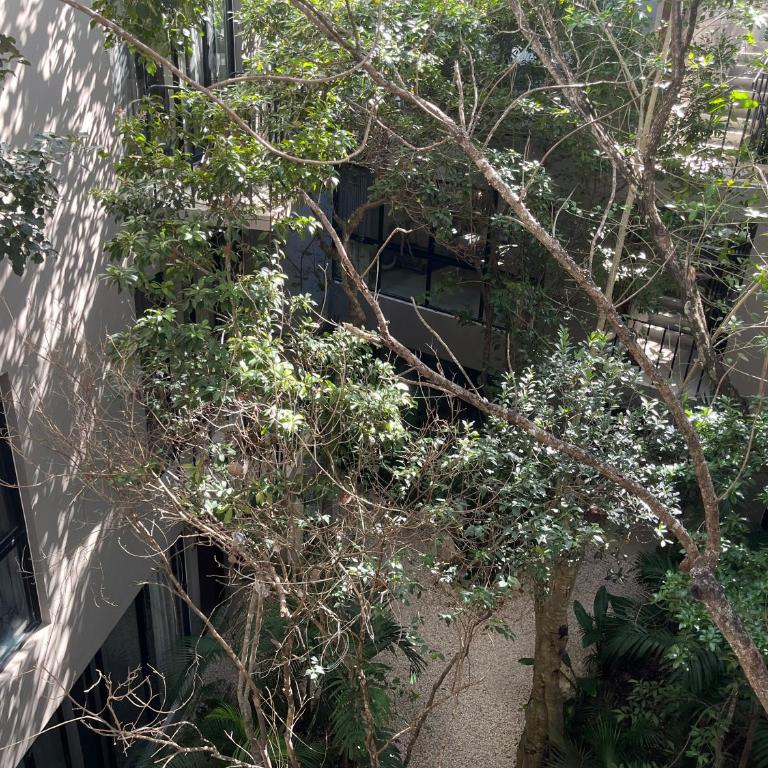 Tulum Boho beautiful Apt special fee for Bardo daypass - Apartamento de 1 dormitorio - 23
