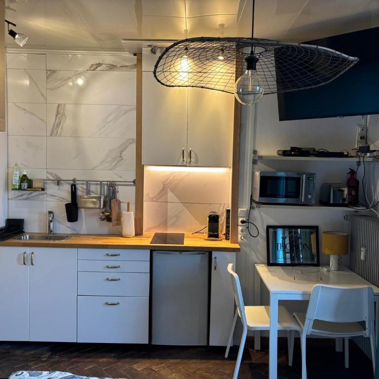 Petit Studio hyper centre vue lac thonon-o-phil-de-l-eau - Appartement 1 Chambre - 12