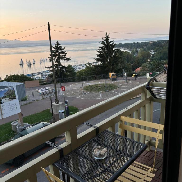 Petit Studio hyper centre vue lac thonon-o-phil-de-l-eau - Appartement 1 Chambre - 18