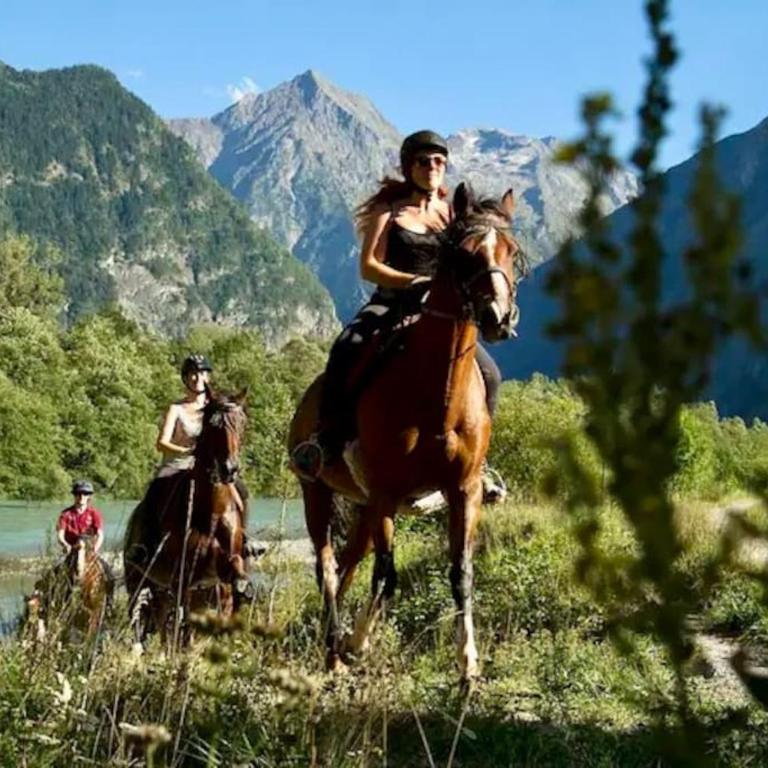 Oisans Vacances Gîte Vermarine - Maison 4 Chambres - 31