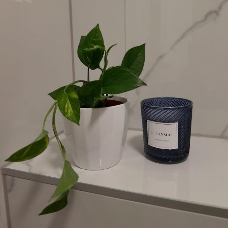 CasaBlanca Apartman - One-Bedroom Apartment - 11
