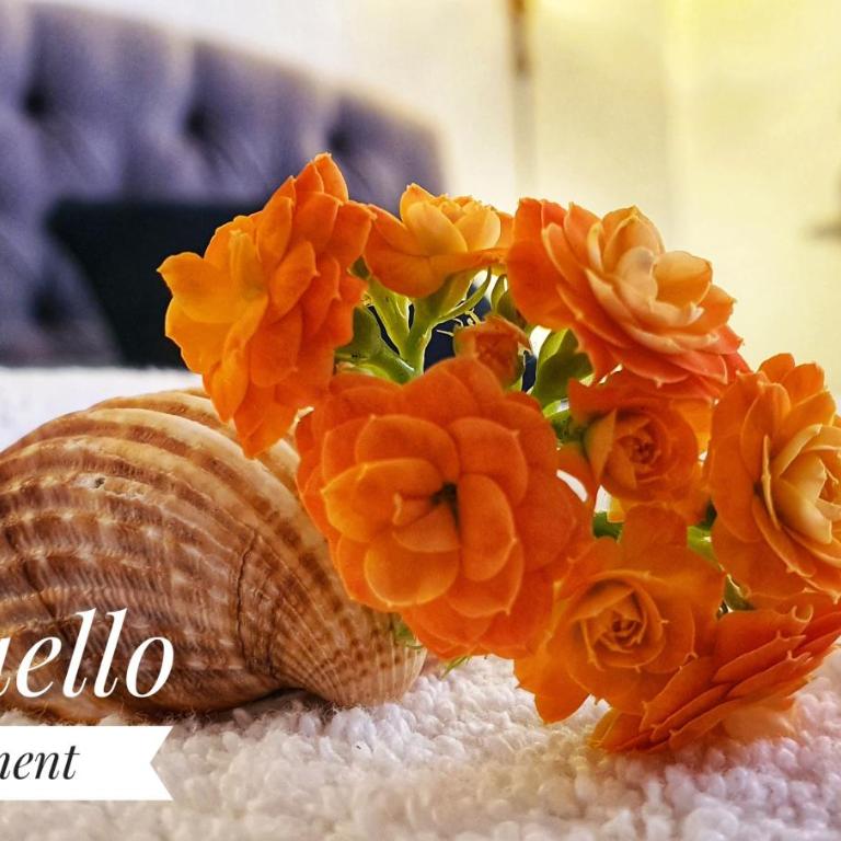 Raffaello Apartment - Appartamento con 1 Camera da Letto - 11