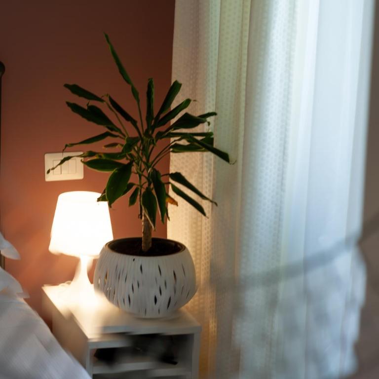 Magna Cura - Economy Double Room - 3