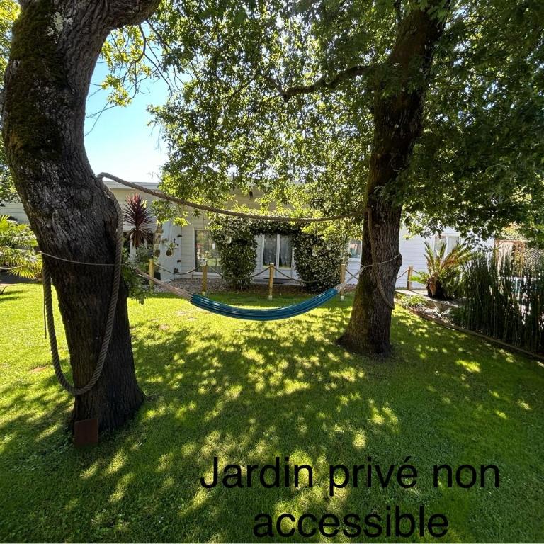 Maison MAHECO - Maison 1 Chambre - 15