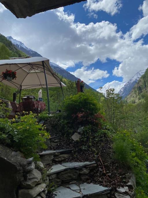 Casa le Bouquetin - Appartamento - Piano Terra - 17