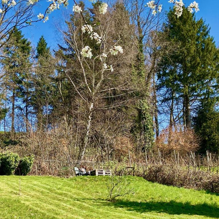Ferienwohnung Weinberg Idyll 2 - Panoramablick zum Bodensee - Apartment mit Seeblick - 14