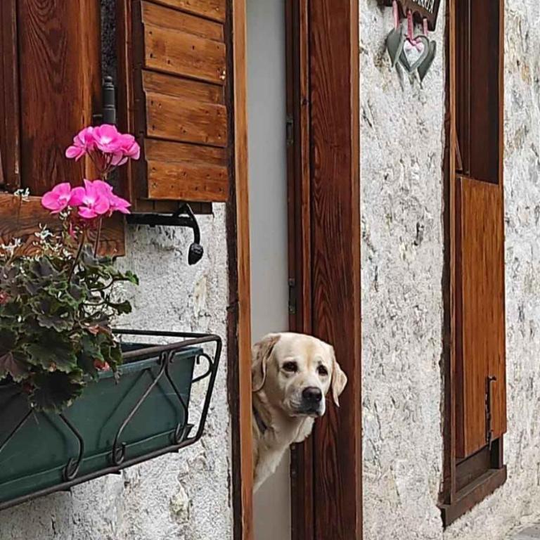 Holiday home in Tiarno di Sotto 23505 - Casa Vacanze - 7