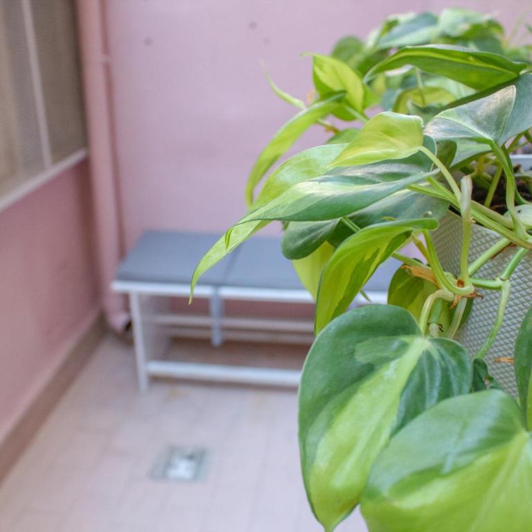 Casabra - Appartamento con 2 Camere da Letto - 14