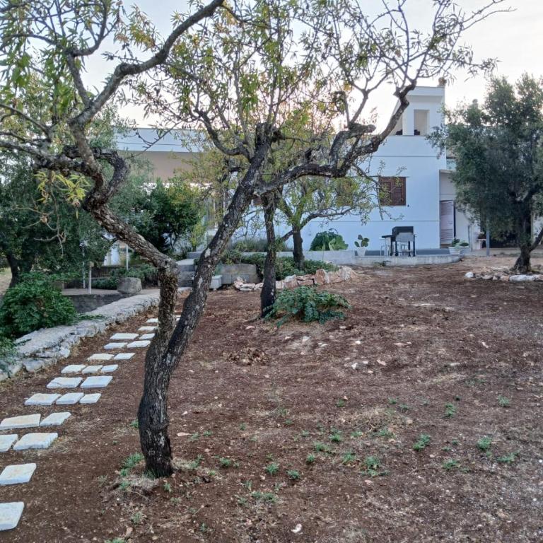 Natura e relax di Nonna Maria e Nonno Pino - Villa Deluxe - 6