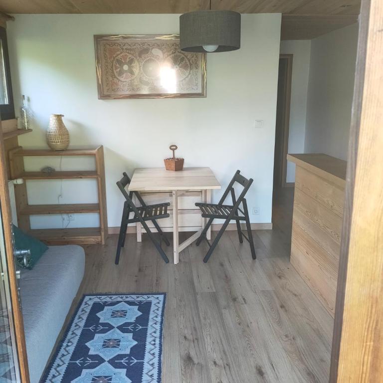 Beau studio dans la vallée de CHAMONIX - Appartement 1 Chambre - 3