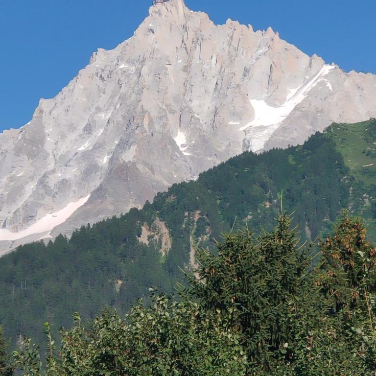 Beau studio dans la vallée de CHAMONIX - Appartement 1 Chambre - 9