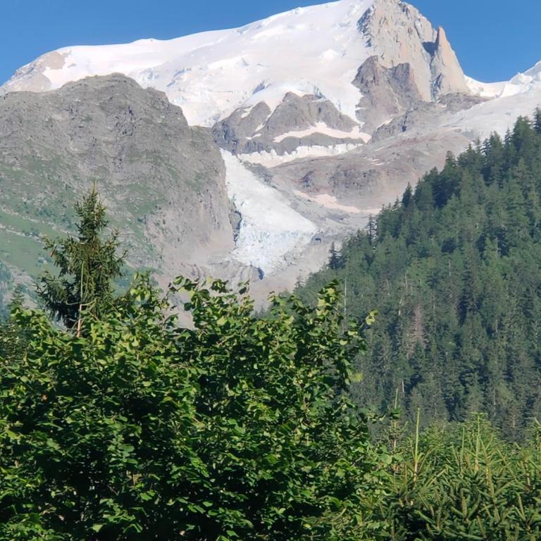 Beau studio dans la vallée de CHAMONIX - Appartement 1 Chambre - 14