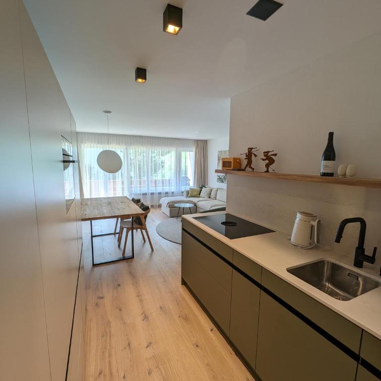 Casa Zundra Alpine Apartment - Apartment - 7
