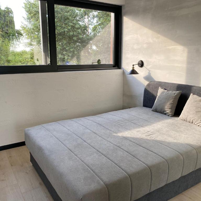 Dezurni krivci - Apartman sa 1 Spavaćom Sobom - 14