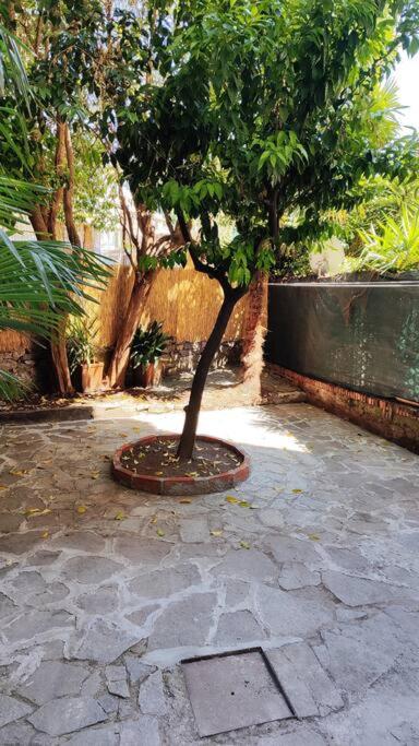 Intero Appartamento - One-Bedroom Apartment - 11