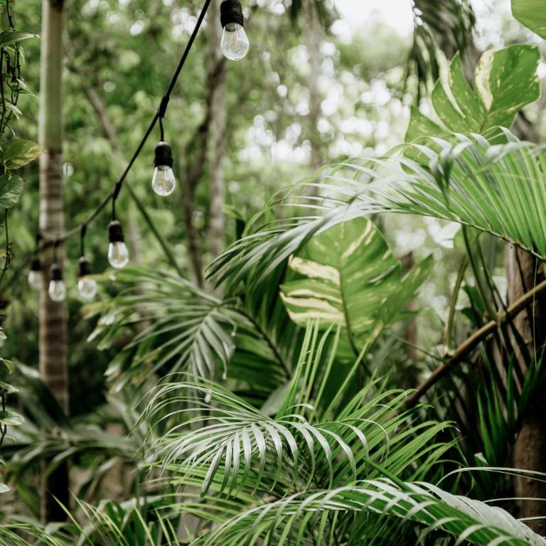 Jungle Boho Villa "Coco" - Pv Pool - BBQ - Concierge 5A - Villa de 3 dormitorios - 35