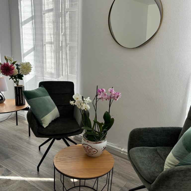 L Alsacienne F2 centre ville - Apartment mit 1 Schlafzimmer - 10